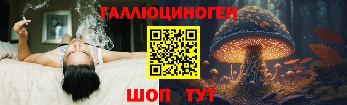 Подольск  Галлюциногенные грибы прущие грибы  Вход с VPN 